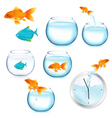 Fish and aquariums vector image