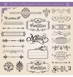 Calligraphic decoration elements set vector image
