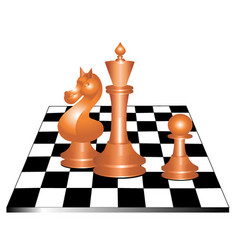 Chess Chess vector image