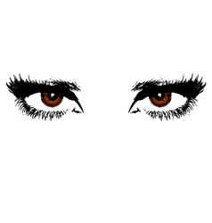 Womens brown eyes Womens brown eyes vector image