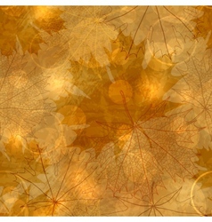 Autumnal Leaves Pattern vector image