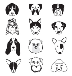 Dogs Breed Collection vector image