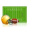 American football field vector image