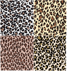 Animal skin pattern vector image