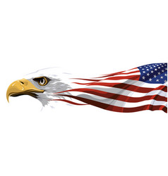 The national symbol of the usa vector image