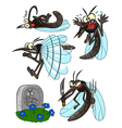 Mosquito set vector image