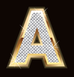 A bling bling vector image