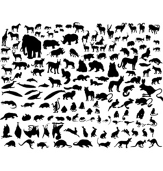 Animals vector image