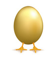 Golden egg vector image