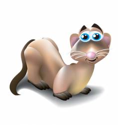 Ferret vector image