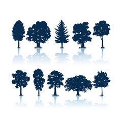 Trees silhouettes Trees silhouettes vector image