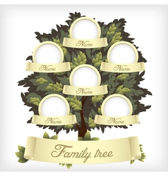 Family tree vector image