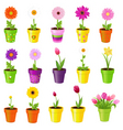 Flowers in pots vector image