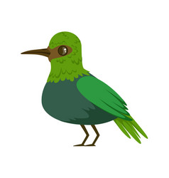 Small bright green tropical bird colorful Small bright green tropical bird colorful vector image
