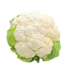 Cauliflower isolated on white background vector image