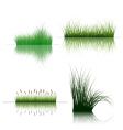 Grass on water vector image