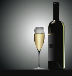 Glass of wine vector image
