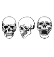 Skull set vector image