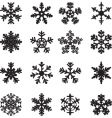 Snowflakes vector image