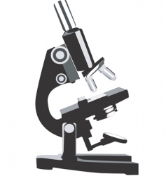 Medical vector image