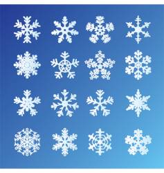 Snowflakes blue vector image