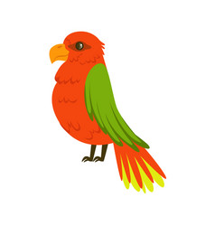 Beautiful red parrot with green wings colorful Beautiful red parrot with green wings colorful vector image