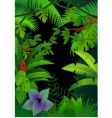 Tropical forest background vector image