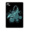 Scorpio vector image