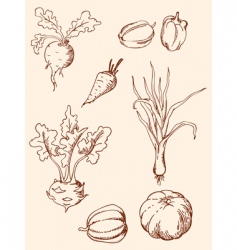 Hand drawn vintage vegetables vector image