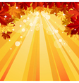 Autumn background with space for text vector image