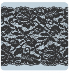 Black lace vector image