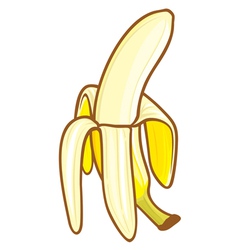 Banana vector image