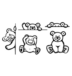 Bears vector image
