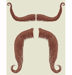 Mustaches set vector image