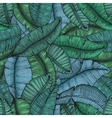 Seamless hand drawn pattern with banana leaves vector image
