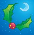 Mistletoe goblin vector image