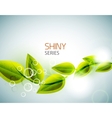Flying green leaves nature background vector image