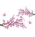 Sacura branches vector image
