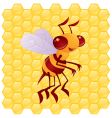 Honey bee vector image