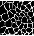 Giraffe pattern vector image