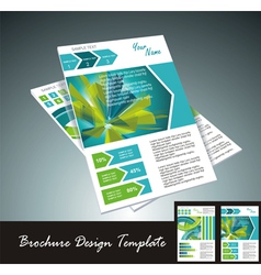 Brochure Templates vector image