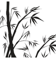Bamboo isolated vector image