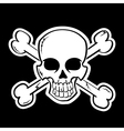 Skull Skull vector image