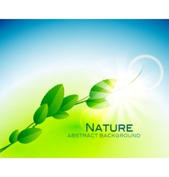 Nature leaves background vector image