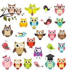 Set of owls vector image