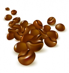 Coffee beans vector image