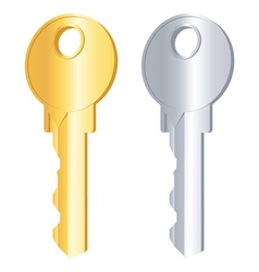 Gold and silver keys vector image