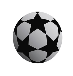 Soccer ball vector image