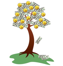 Money tree vector image