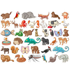 Large set different animals and other objects Vector Image